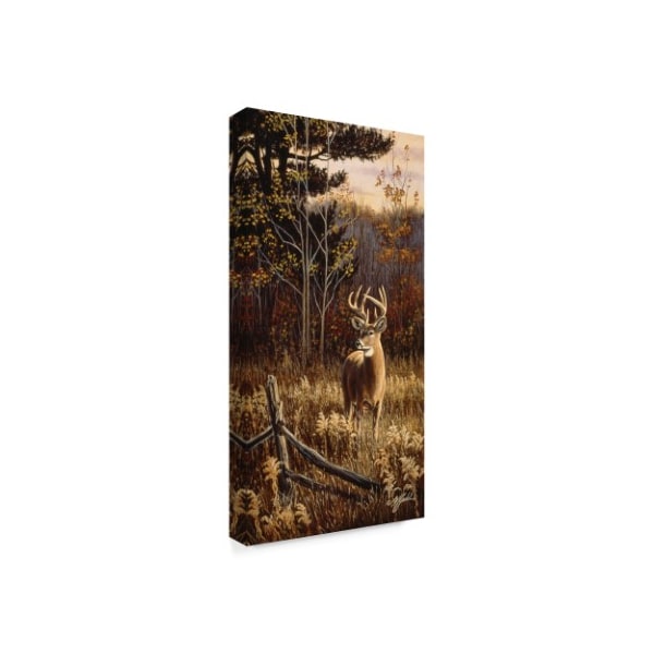 Wilhelm Goebel 'Autumn Whitetail' Canvas Art,24x47